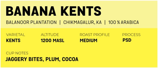 Banana Kents by Balanoor Plantation