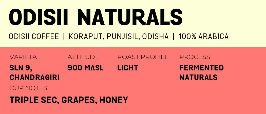 Odisii Naturals