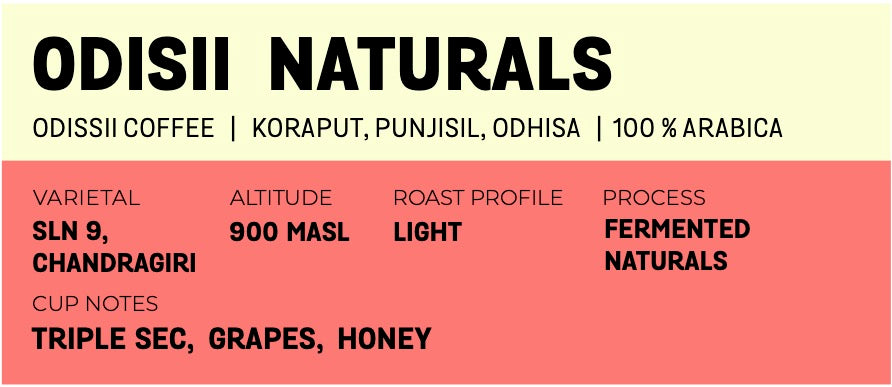 Odisii Naturals